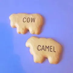 たべっこどうぶつ　どうぶつビスケット　ガチャ　２点セット　マグネット