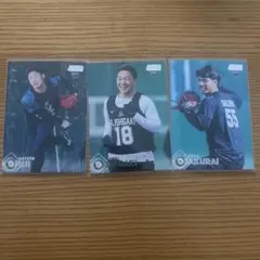 Topps Stadium Club 千葉ロッテ ルーキーカード3枚セット