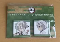 鬼滅の刃 柱稽古編 不死川実弥 A4キャラファイングラフ 缶バッジ アクキー 鬼滅の刃 柱稽古編 不死川実弥 A4キャラファイングラフ、アクキー、缶