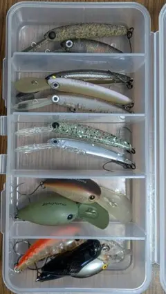 ザッカ、パニクラ　良く釣れる厳選カラーのサムネイル