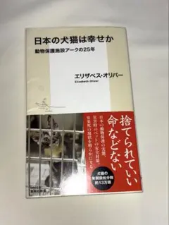 Item thumbnail for item 257dfcb1-6c23-403c-99e3-f3368518ba47