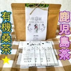 Item thumbnail for item 49da2d61-9e83-480a-b265-ebb8a79dbc0c