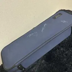 2026年最新】lang バイオリン ケースの人気アイテム - メルカリ