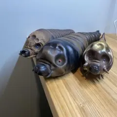 Item thumbnail for item 0c53e458-54ef-4fc9-80d3-8cdca0427a36