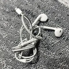 Lightning接続 有線イヤホン iPhone純正