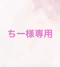 ちー様専用