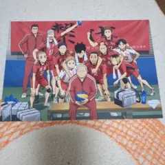 劇場版ハイキュー!!ゴミ捨て場の決戦 チーム集合 ブロマイド
