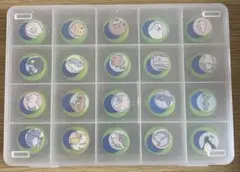 絵合わせ　ペットボトルキャップ マッチング(海の生き物 )
