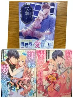 新刊 おじさま、夜伽してください!～嫌われ王女は初めて愛され満たされる