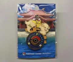 2026年最新】ポケモン ピンズ -沖縄 -ポケモンセンター沖縄の人気