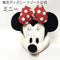 東京ディズニーリゾート ミニー　ファンキャップ　帽子　カチューシャ　ミニーちゃん