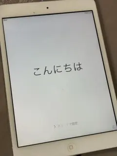 iPad mini Wi-Fi 16GB A1432 本体のみ 第1世代