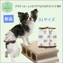 ❤犬　３Ｌ　男マナーバンド　クークチュール　テラヘルツ　スーパークール×クール