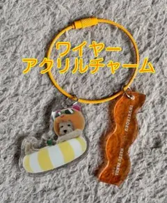 【非売品】イオン 犬記録 ナツパンダ ワイヤーアクリルチャーム チルのサムネイル