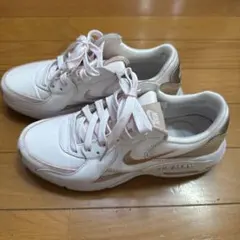 ナイキ エア マックス エクシー ウィメンズ　スタイル： DX0113-600