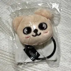 PuppyM グッズ　ネームプレート　指人形　ヘアゴム　スンミン　グッズ　まとめ 2025年最新】puppymの人気アイテム - メルカリ