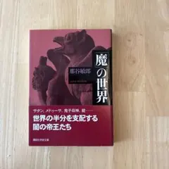 ◇マローの魔術師ムルタニ 日本語1枚 - メルカリ