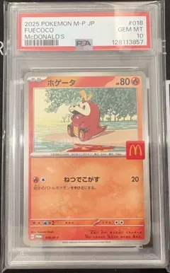 ホゲータpsa10 ポケモン 2026年最新】ホゲータ s psa10の人気アイテム - メルカリ