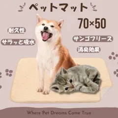 Item thumbnail for item 5fafc195-2223-47a5-b49f-d06680ce8b5f