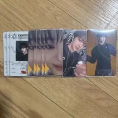 &TEAM EJ ウィジュ トレカ 月狼