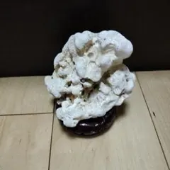 bonchan様 リクエスト 2点 まとめ商品