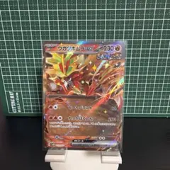 ウガツホムラex RR スカーレット&バイオレット 拡張パック ワイルド