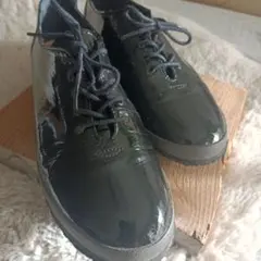 Item thumbnail for item 319b0b6a-7e65-43dc-86ac-f590a7e7539b