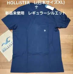 Hollister Tシャツ 新品未使用　正規品