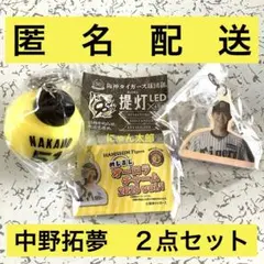 阪神タイガース 中野拓夢　LEDキーホルダー めじるしチャーム　２点セット