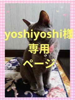 ☆未使用　☆黒猫プリント トートバッグ