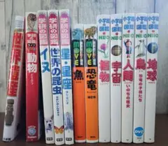 図鑑Neo他学習図鑑 まとめ売12冊セット 学研 小学館 講談社【DVDなし】 図鑑Neo他学習図鑑 まとめ売12冊セット 学研 小学館 講談社【DVDなし