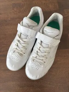 Item thumbnail for item d37a7db3-973a-429e-910d-d83269d7504a