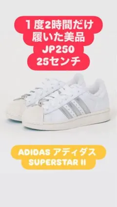 Item thumbnail for item 922c6138-d7a7-4526-a3f0-d4672583305a