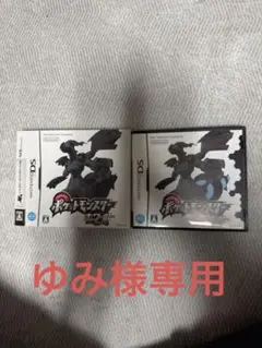 ポケットモンスター ブラック ホワイト 2本セット【箱・説明書付き