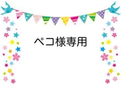 ぺコ様 リクエスト 2点 まとめ商品