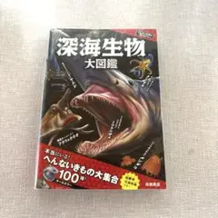 Takumi様 リクエスト 2点 まとめ商品