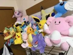 ポケモン ぬいぐるみ コレクション