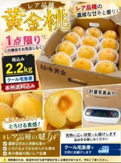 【MH USK様専用】九州クール便込み 黄金桃 約2.2kg 家庭用のサムネイル