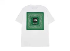 supreme the north face bandana tee