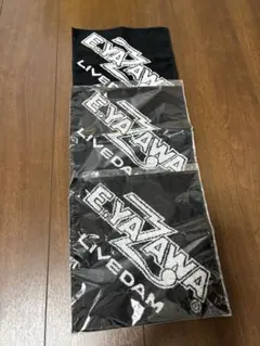 Item thumbnail for item ab68dc8a-975b-4a9c-958a-fb90547f324f