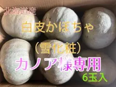 【カノア様専用】北海道産かぼちゃ（雪化粧）　6玉入　10kg×2