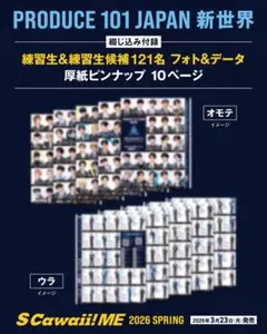 PRODUCE 101 Japan 新世界 照井康祐 ピンナップ - メルカリ