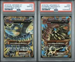 2026年最新】グラードン カイオーガ psa10の人気アイテム - メルカリ