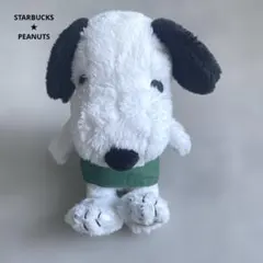 スターバックス スヌーピー ぬいぐるみ 約30cm