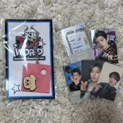 stray kids スンミントレカセット