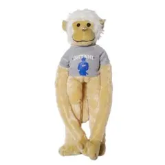 【限定非売品】アナハイムエンゼルス　大谷翔平　8/18来場者限定 ラリーモンキー 限定非売品☆アナハイムエンゼルス大谷翔平8/18来場者限定