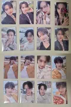 セブチ 会場限定 来場者限定 消費期限 STF トレカ ジュン コンプ