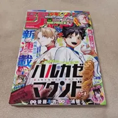 週刊少年ジャンプ2025年　29号