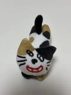 シークレット 三毛猫 キヨの東キヨドームin東京ドームのサムネイル