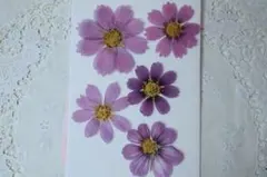 azu_verbena.handmade様 リクエスト 2点 まとめ商品